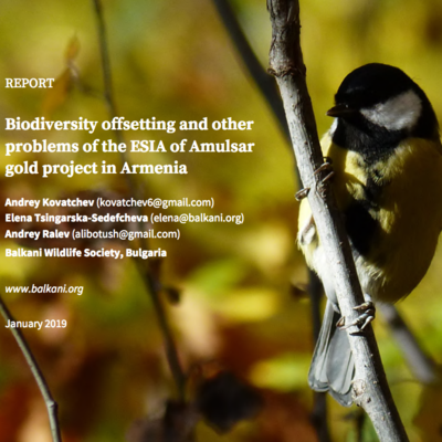 Cover Biodiversity offsetting and other problems of the ESIA of Amulsar gold project in Armenia