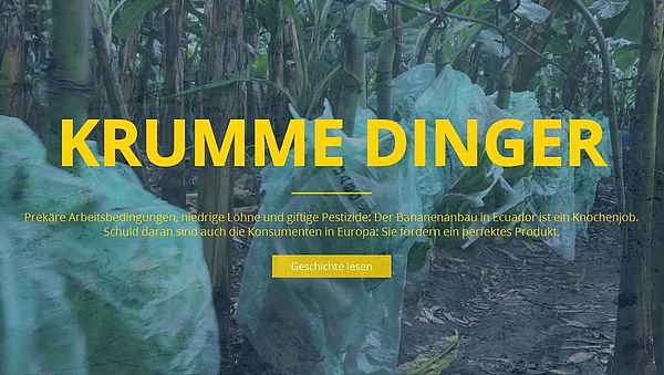 Cover Webreportage "Krumme Dinger"
