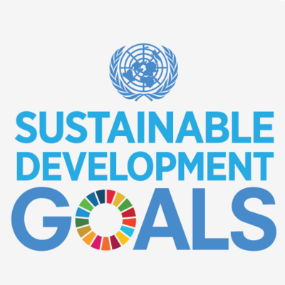 Logo Sustainable Development Goals 