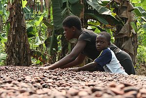 Kakaoproduktion in Ghana