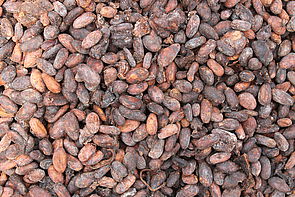 große Menge Kakaobohnen