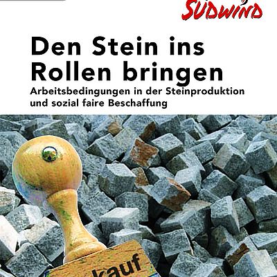 Cover "Den Stein ins Rollen bringen"
