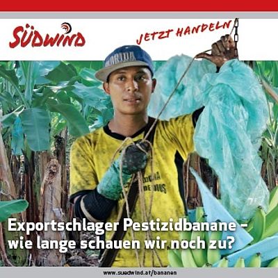 Cover "Exportschlager Pestizidbanane", auf dem Foto ist ein Arbeiter einer Bananenfarm 