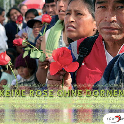 Cover "Keine Rose ohne Dornen"