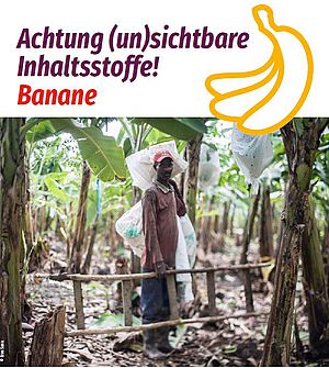 Cover Bananen Factsheet