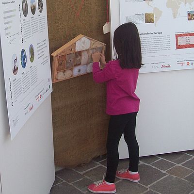 Kleines Mädchen schaut sich die Baumwoll-Ausstellung an