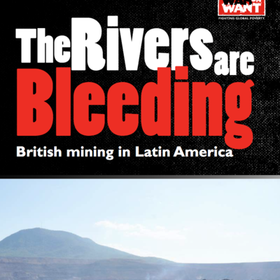 Cover The Rivers are Bleeding