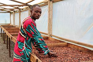 Ein Arbeiter beim Trocknen von Kakaobohnen
