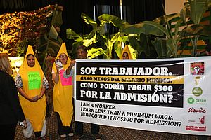 Banner und als Bananen verkleidete Menschen bei einem Kongress zu Bananen in Ecuador
