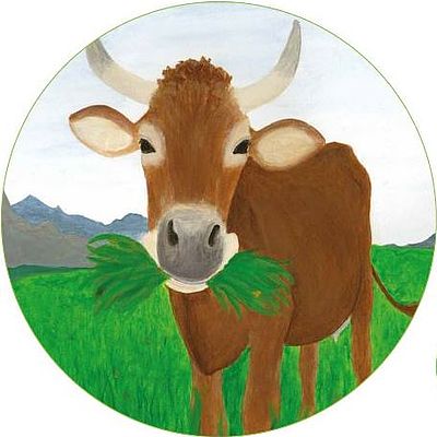 Kuh mit Gras im Mund, Alpenlandschaft im Hintergrund