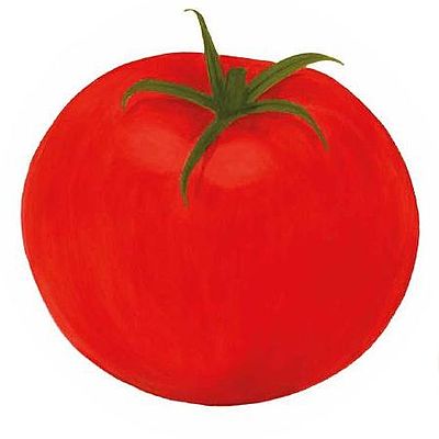Cover Kunterbunte Tomatenwelt