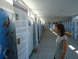 Eine junge Frau liest Informationen zum globalen Arbeiten