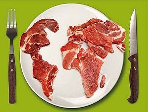 Auf einem Teller liegen mehrere Stück rohes Fleisch. Sie sind so angeordnet, dass sie die Kontinente darstellen.