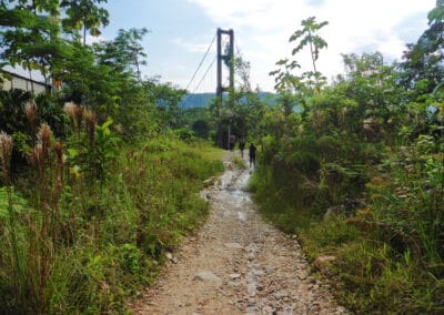 Feldweg durch einen Wald in Ecuador