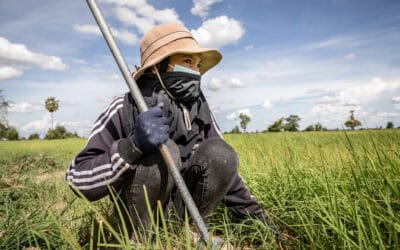 Landwirtschaft im Wandel – Neue Studie zeigt Wege aus der Agrar-Krise