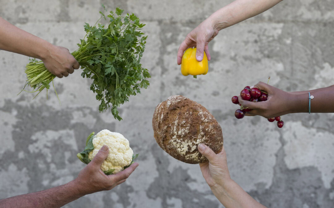 Tiroler Nachhaltigkeitsmesse: Ausstellung „Unser Essen in unseren Händen“