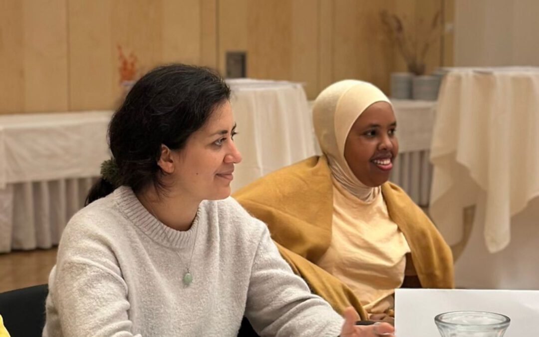 Graz Gemeinsam Feministisch Gestalten: EMV-LII goes Grazer Frauenrat