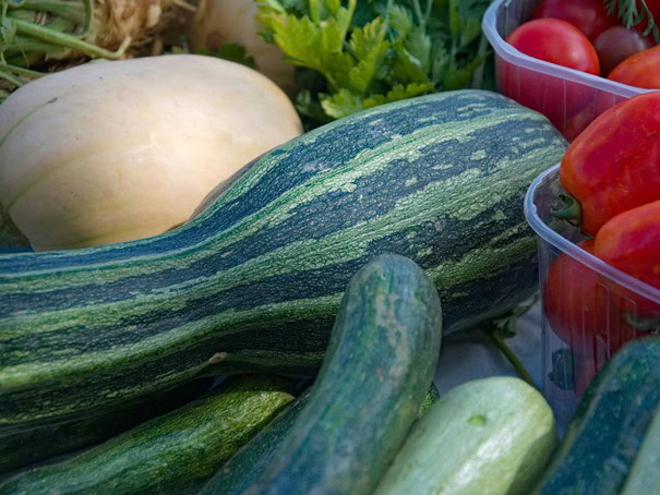 Buntes Gemüse: Kürbis, Zucchini, Tomaten und Salat